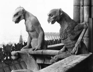 Gargoyles from the Balustrade of the Grande Galerie of the West Facade, Replica of a 12th Century Original