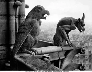 Gargoyles from the balustrade of the Grande Galerie of the west facade, replica of a 12th century original