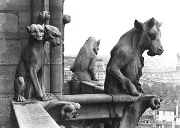 Two gargoyles from the balustrade of the Grande Galerie of the west facade, replica of a 12th century original