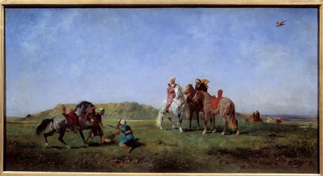 Falcon Hunting in Algeria