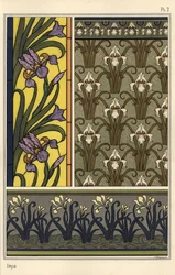 The Iris in Various Patterns