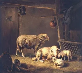 Sheep in a barn