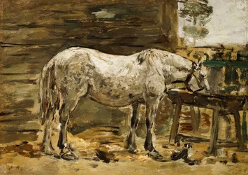 White Horse at the Drinking Trough