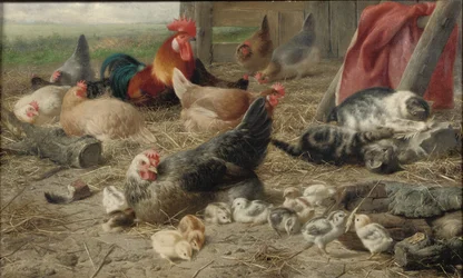 In the Barnyard