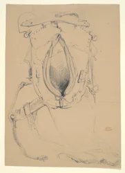 Study of a Horse