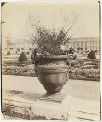 Versailles, Vase by Ballin, 1902