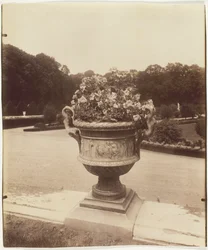 Versailles, Vase by Ballin