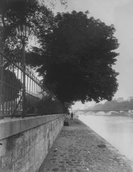 View of Pont des Arts from the Terre-Plein of Pont Neuf, 1911