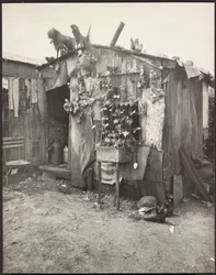 Villa of a Ragpicker