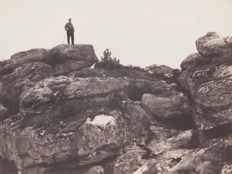 Gorges de Franchard - Fontainebleau Forest, 1863