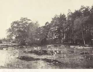 Marsh at Piat (Belle-Croix Plateau)