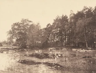 Marsh at Piat (Belle-Croix Plateau), c. 1863