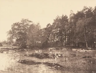 Marsh at Piat Belle-Croix Plateau