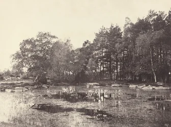 Marsh at Piat Belle-Croix Plateau