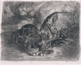 Wild Horse Overpowered by a Tiger