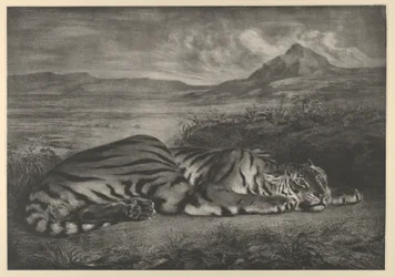 Royal Tiger, 1829