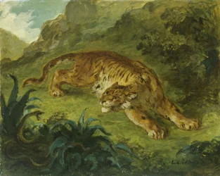 Tiger and Snake