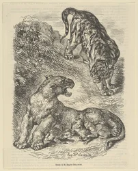 Tigress Attacked by a Tiger While Nursing her Young, 1853