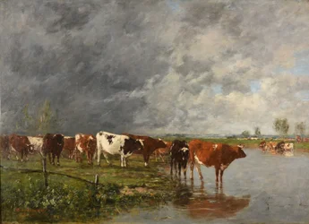 Herd Drinking