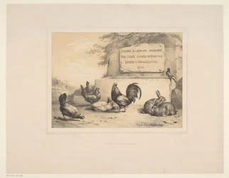 Title Page with Chickens, Rabbits, and a Dove