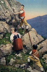 Children climbing in the Alps
