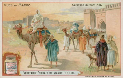 A Caravan Leaving Fes