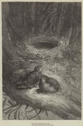 Bent upon Adventurous Quest, these Bold Birdies leave their Nest (engraving)