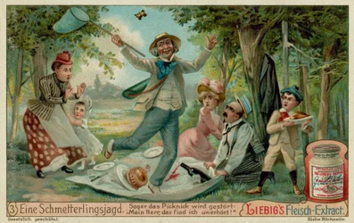 Butterfly Hunting and a Picnic