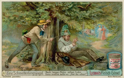 Butterfly Hunting and a Sleeper