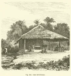 Brazilian House