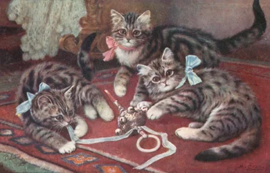 Cat Postcard