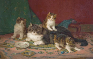 Cat Postcard