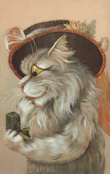 Cat Wearing a Hat and Looking at a Ring