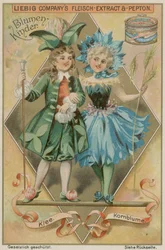 Clover and Cornflower