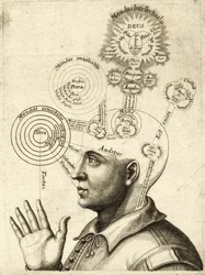 Diagram of Human Thought and the Four Senses, c.1650