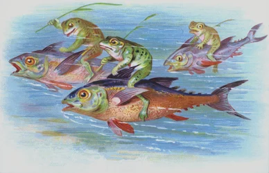 Frogs riding fishes