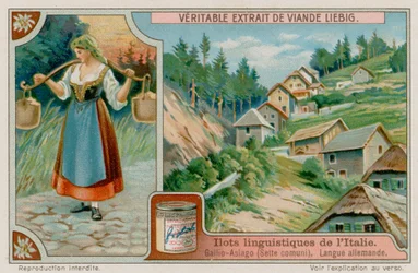 German Speaking Gallio Asiago