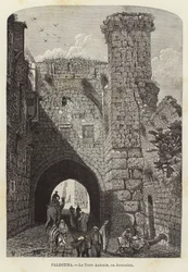 Palestine, The Antonia Tower, in Jerusalem