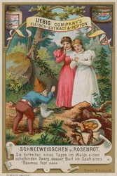 Snow White and Rose Red Help the Dwarf with his Beard