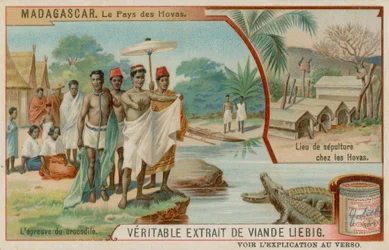 The Land of the Hova: The Crocodile Ordeal and the Burial Place of the Hova