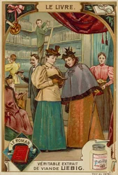 The Novel
