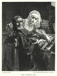 The Prohibited Book