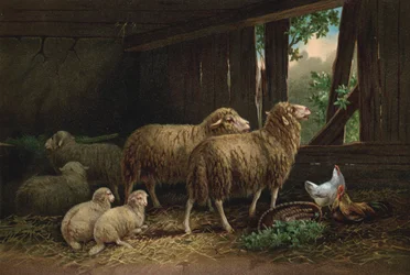 The Sheepfold