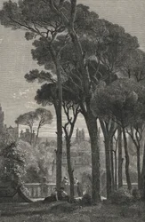 Villa D