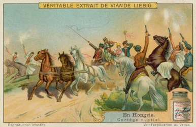 Wedding Procession
