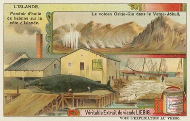 Whale oil factory and a volcano in the Vatna glacier
