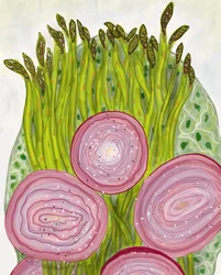 Asparagus, Brooklyn
