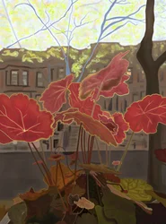 Coral Bells in Window Planter