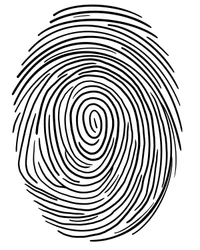 Drawing of a Fingerprint, Brooklyn