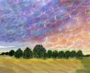 Field in Vermont, 2018